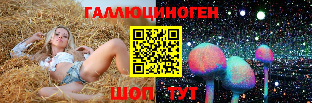 Псилоцибиновые грибы прущие грибы Стрежевой
