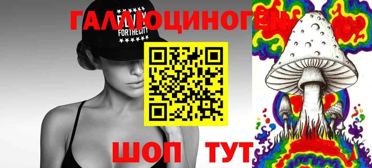 Стрежевой  Псилоцибиновые грибы Cubensis  Вход с VPN  Псилоцибиновые грибы Psilocybine cubensis 